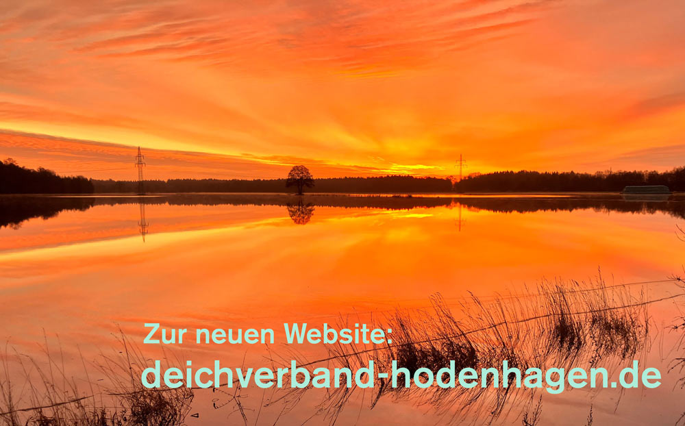 zur Website
